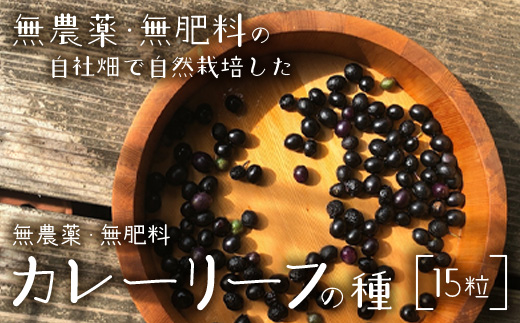 カレーリーフの種　15粒【 沖縄 石垣島 香辛料 種 無農薬 無肥料 】CS-4