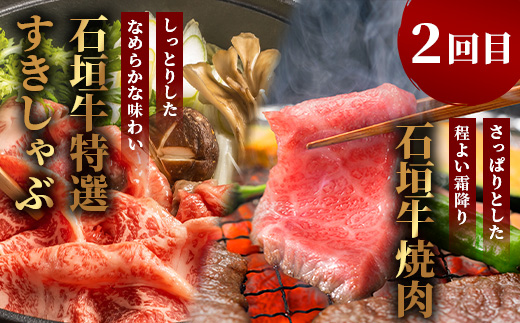 【全2回 定期便E】 石垣牛 ステーキ＆焼肉特盛セット・すきしゃぶ800g＆焼肉特盛セット　計3.2kg（いしなぎ屋）【 特選肉 肉 高級 黒毛和牛 和牛 牛 】AB-33