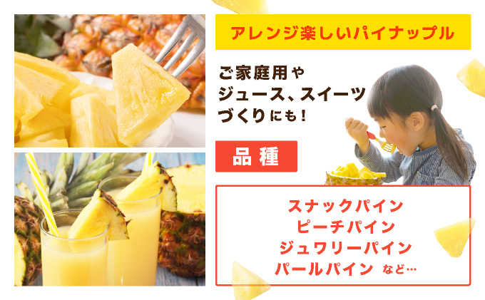 【2026年7月以降順次発送】川平パイン お徳用訳あり4kg ( 品種・玉数・サイズお任せ ) KN-6