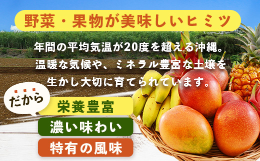 【4回定期便】沖縄県 石垣島の野菜・フルーツBOX ≪野菜4～5種類、フルーツ1~2種類≫（1箱×4回）じょーとーまーさん(とても美味しい) 石垣島の野菜とフルーツの詰め合わせセットをお楽しみください！！｜沖縄 石垣島 直送 旬 果物 フルーツ 新鮮 島野菜 野菜セット 詰め合わせ 定期便 CK-5