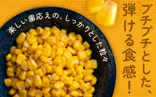 【予約受付】スイートコーン すいーとかよちゃんファームのとうもろこし 10本《2025年1月中旬～5月末順次発送予定》【 沖縄 石垣 野菜 やさい コーン 甘い トウモロコシ コーン 産地直送 】KF-1