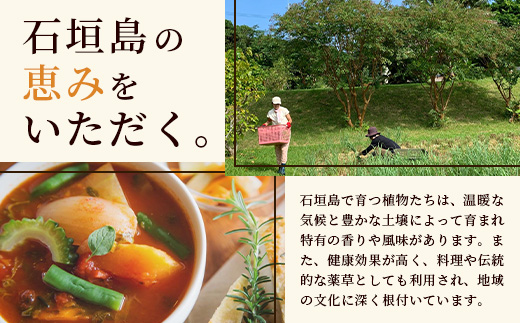 チャンプルの素　60g　袋入×2袋【 沖縄県 石垣市 石垣島 調味料 万能 石垣島産 】PN-5