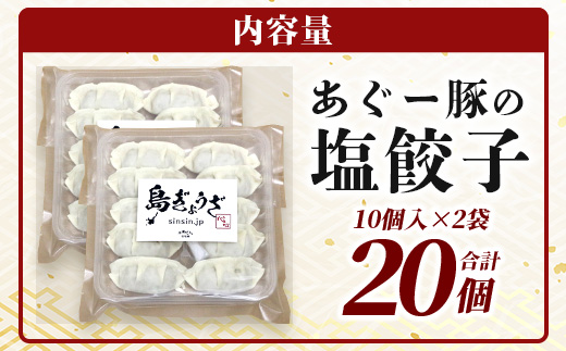 あぐー豚 ぎょうざ 20個【ブランド豚 アグー豚 使用】 ぎょうざ 餃子 焼き餃子 水餃子 焼餃子 惣菜 おかず GS-3