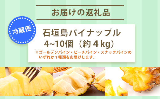 【訳あり】 石垣島産パイナップル4～10個 約4kg《2024年5月～8月上旬から順次発送》  KP-15