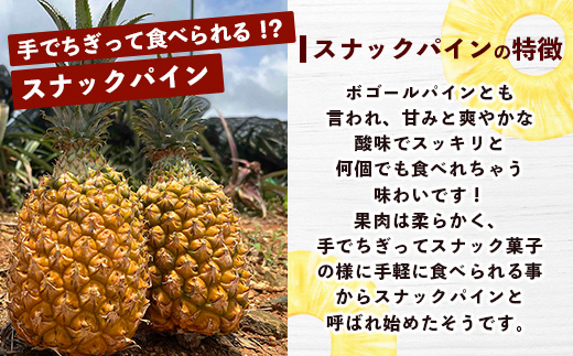 【マツコの知らない世界で絶賛！】《2025年4月以降発送》【先行予約】島のおいしいを贅沢に！大満足のパイナップル4種とマンゴー2種、シークワーサーの定期便【 沖縄 石垣 ピーチ ホワイトココ キーツ マンゴー パイン パイナップル シークワーサー 完熟 セット フルーツ デザート 食べ比べ 定期便 TV テレビ 紹介 マツコ 】 TF-40