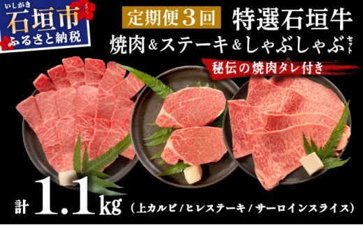 【2025年11月以降順次発送】【3回定期便】希少な特選石垣牛をご家庭で！！全3回合計1.1kg　上カルビ、ヒレステーキ各400gずつ、特選しゃぶしゃぶ用300g & 石垣牛 MARU秘伝の焼肉タレ100ml×1本 | 沖縄 石垣 特選 牛 上 赤身 カルビ ヒレ ステーキ ロース 肉 焼肉 真空 冷凍 タレ 定期便 | IM-61t