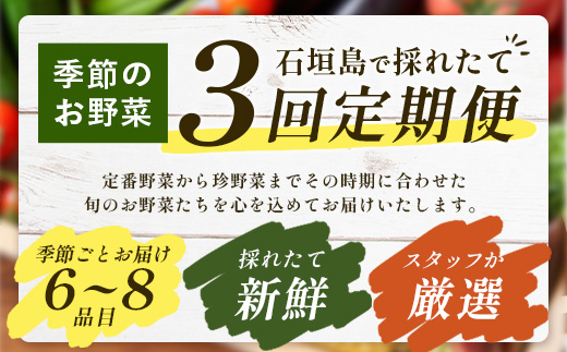 石垣島産 野菜BOX【３回定期便】（６~８種類）季節ごとに野菜パワーをあなたに！！CK-2【野菜セット おまかせセット 旬 季節のお野菜 旬の野菜セット 詰め合わせ 定期便３回 定番野菜 島野菜 沖縄県 石垣市 石垣島 石垣 】