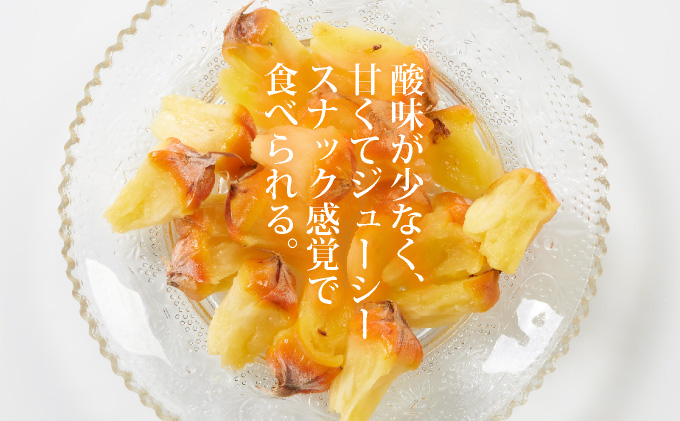 【先行予約】石垣島産 中玉スナックパイン（ボゴール）6玉 合計約6kg 《2025年夏季 順次発送》SI-112