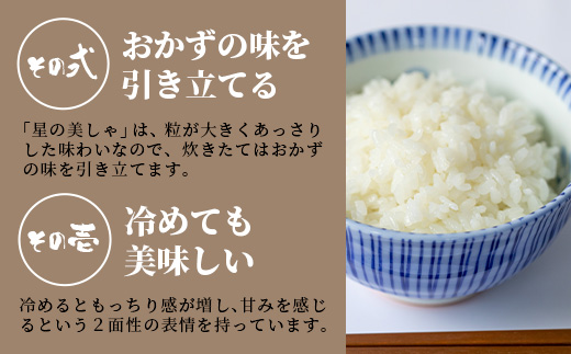 【令和6年産新米！】【日本一早い新米】令和6年産 石垣島産 星の美しゃ（ほしのかいしゃ）20kg（5kg×4袋）MK-5