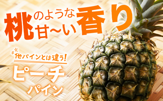 【予約受付】ピーチ＆ポコットパイン食べ比べ 1ｋｇ（計２玉）お勧め♪川平パイン《2025年5月～7月頃順次発送》KN-5