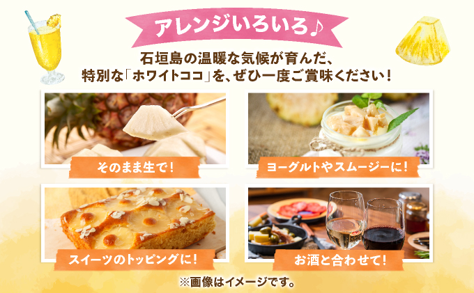 ≪6月上旬順次発送≫ 石垣島産パイナップル　ホワイトココ　3玉（約3kg）