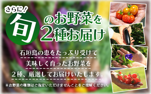 沖縄の健康長寿の秘訣「琉球百薬（おかわかめ）」10袋と旬のおまけ野菜詰め合わせ！農薬を使わない栽培方法を続けるミネイさんの野菜【 沖縄 石垣島 石垣島産 野菜 セット 詰合せ 農薬不使用 離島のいいもの 沖縄のいいもの石垣島 】OI-24