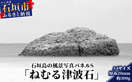 NN-12 石垣島の風景 写真パネルS（ねむる津波石）