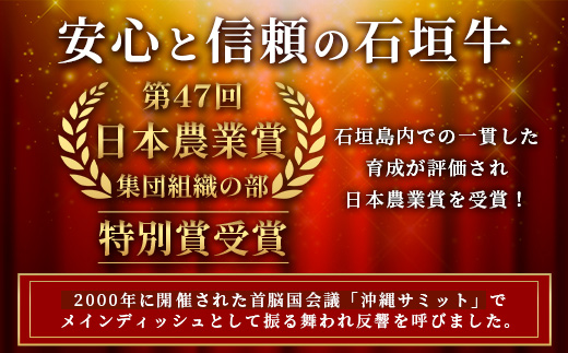 石垣牛100％ ハンバーグ　(100ｇ×10個)【化粧箱入り】｜国産 石垣牛100% 高級 黒毛和牛 ビーフ ハンバーグ詰め合わせ  ID-1