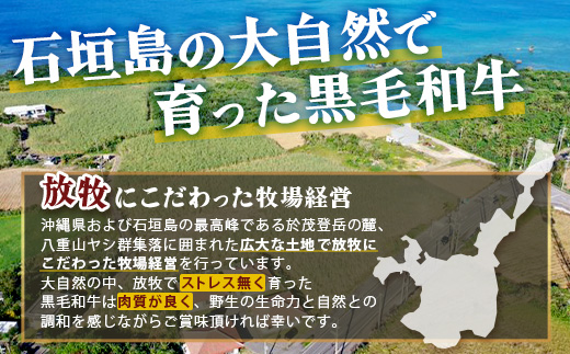 石垣島産　黒毛和牛 生ハンバーグ　120g x 10個 UN-2