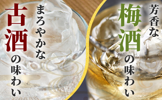 おもと3年古酒＆おもと梅酒セット 【沖縄県 石垣市 石垣島 酒 泡盛 梅酒 セット 】 TS-3