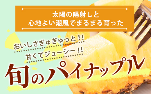 【予約受付】【定期便】石垣島産 パイナップル 3回 定期 3種 計6玉【2025年 4～5月頃・5月・6月頃お届け】  KP-18