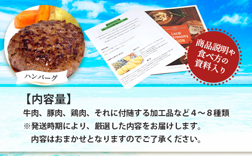 【新感覚】石垣島の「お肉」詰め合わせ～タカラモノお肉便　SH-6