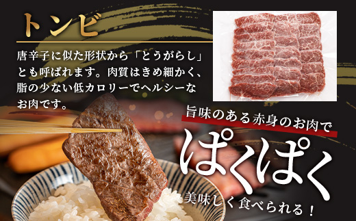 石垣島産 黒毛和牛 新里牛 赤身系焼き肉用 (300g×2) 合計600g（ウデ・ウチモモ・トウガラシから2つ）SZ-21