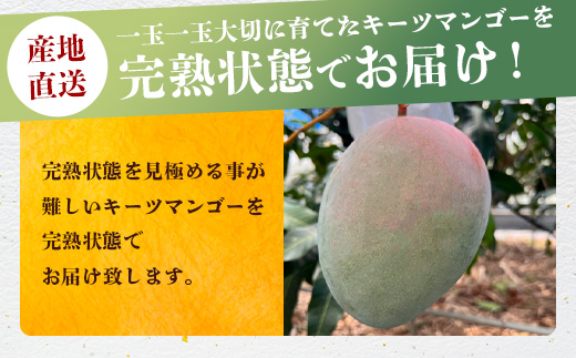 《2025年7月下旬～8月下旬発送》【先行予約】最高糖度23度！？ 完熟の極！7Lサイズ 幻のキーツマンゴー【贈答向け】【 沖縄 石垣島 石垣 八重山 マンゴーキーツマンゴー 期間限定 数量限定 沖縄県 石垣島産 完熟 】TF-4-1