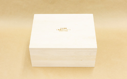 石垣の恵 眠れるマンゴー(450g～500g)2玉 専用箱入 KB-31