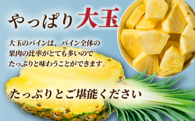 ãå
è¡äºçŽãã2025幎å€å£ é æ¬¡çºéããèš³ãããç³å£å³¶ç£ ãµã³ãã«ãã§ãã€ã³ çŽ3.5ã4kgãçãæé«ãã€ã³ã®ãèš³ãããã®å€§å°æ··åã»ãããSI-28