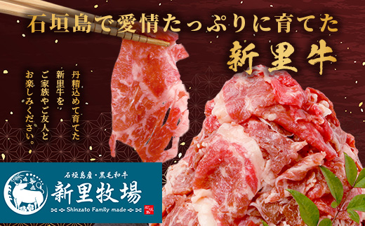 石垣島産 黒毛和牛 新里牛 多用途抜群！ 切落し (500g×1) 500g SZ-13