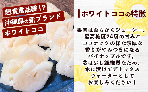 【マツコの知らない世界で絶賛！】《2025年4月以降発送》【先行予約】島のおいしいを贅沢に！大満足のパイナップル4種とマンゴー2種、シークワーサーの定期便【 沖縄 石垣 ピーチ ホワイトココ キーツ マンゴー パイン パイナップル シークワーサー 完熟 セット フルーツ デザート 食べ比べ 定期便 TV テレビ 紹介 マツコ 】 TF-40