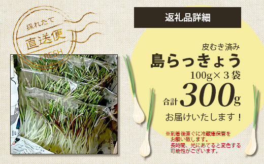 【2024年12月中旬から順次発送】島らっきょう（皮むき済み）300ｇ（100ｇ×3袋入り）KA-1