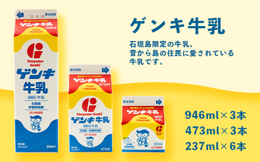 【ふるさと納税限定】八重山ゲンキ乳業 全種バリューセット【八重山ゲンキ乳業】【ゲンキ牛乳】【石垣島のソウルドリンク ゲンキクール】【ゲンキカフェ】【さんぴん茶ミルクティー】GN-4