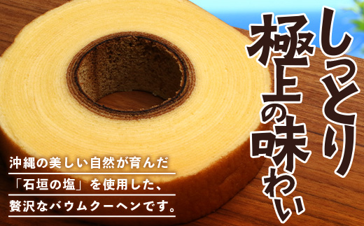 石垣島 やし屋手作り 石垣の塩 バウムクーヘン　直径15cm以上×2箱　YA-2