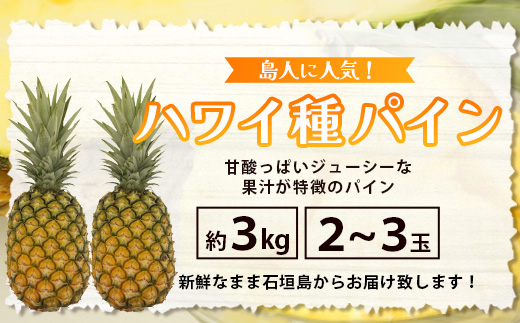 《2025年7月上旬頃より順次発送》【予約受付】石垣島産 ハワイ種パイン 2～3個セット 約3㎏【 産地直送 石垣島産 石垣 完熟 パイン パイナップル 】TD-6