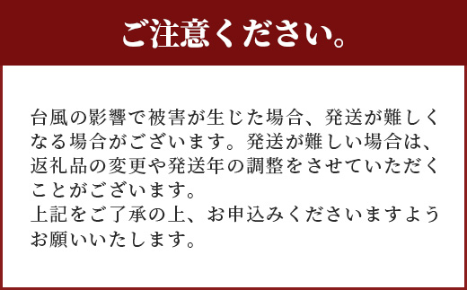 訳あり【2025年発送 予約受付分】「紅福姫ブランド」石垣島のマンゴー 1.3kg 2〜4玉　OT-1