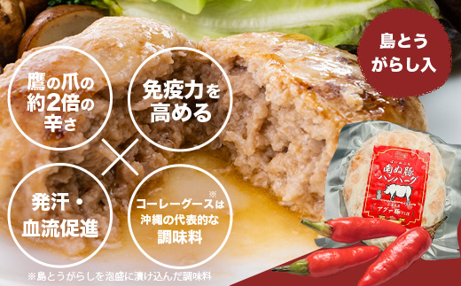E-26 石垣島産アグー豚(南ぬ豚) 網脂ハンバーグ食べ比べセット(3種×各2個)