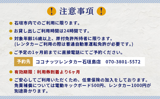 電動キックボード又は電動バイク2名様1日利用券 (24時間) TW-1