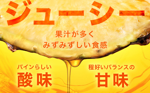 【予約受付】ジュワリーパイン1ｋｇ（1～2玉）お勧め♪川平パイン《2025年7月～8月頃順次発送》KN-1