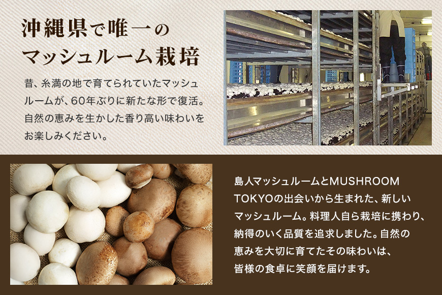 島人マッシュルームセット（ホワイト・ブラウン100g×２セット）