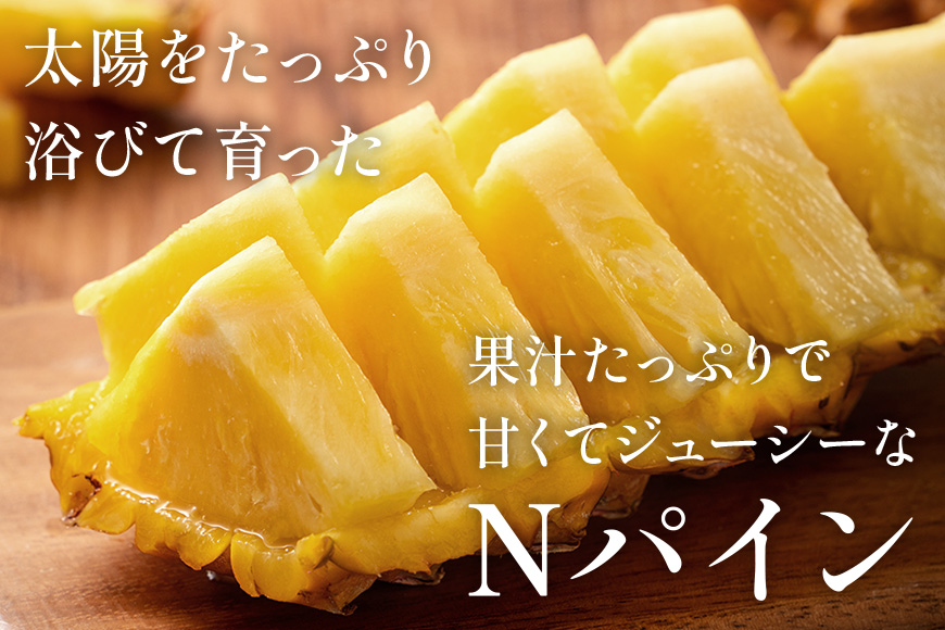 Nパイン2玉　自然の恵み詰まったパイナップル