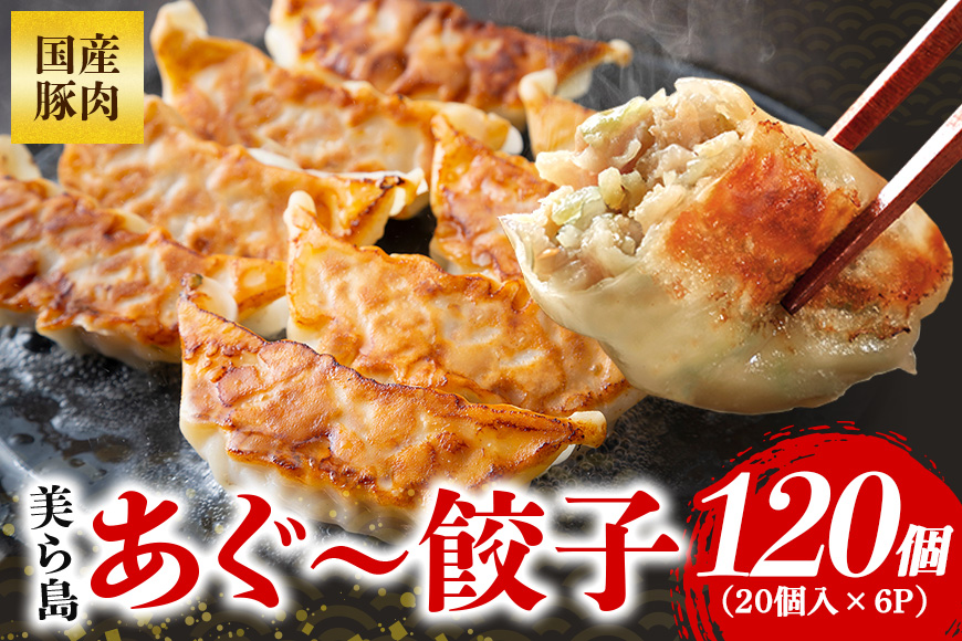 美ら島あぐー餃子 120個セット 20個入×6パック 絶品 こだわり 豚 肉 国産 ごはん おかず お弁当 冷凍 ぎょうざ ギョウザ 小分け BBQ ギョーザ 惣菜 晩酌 ギフト 手作り 生餃子 豚肉 冷凍食品 おつまみ 冷凍餃子 ブランド豚 総菜 中華 焼き餃子 沖縄県 糸満市