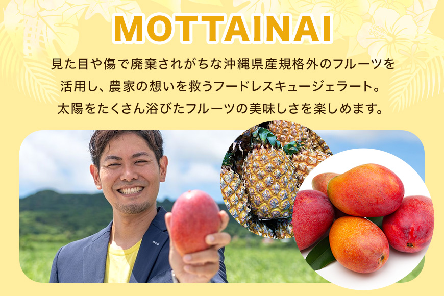 MOTTAINAI ããããžã§ã©ãŒãã6åå
¥ã