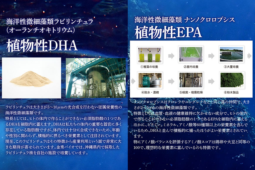 【金秀バイオ】藻の極み 2個 セット 60日分(約2ヶ月分) サプリ サプリメント 植物性 DHA EPA フコイダン オメガ3 脂肪酸 カプセル 沖縄 もずく モズク オキナワモズク 海藻 原料 健康食品 中性脂肪 コレステロー 対策 予防 食品 沖縄県 糸満市