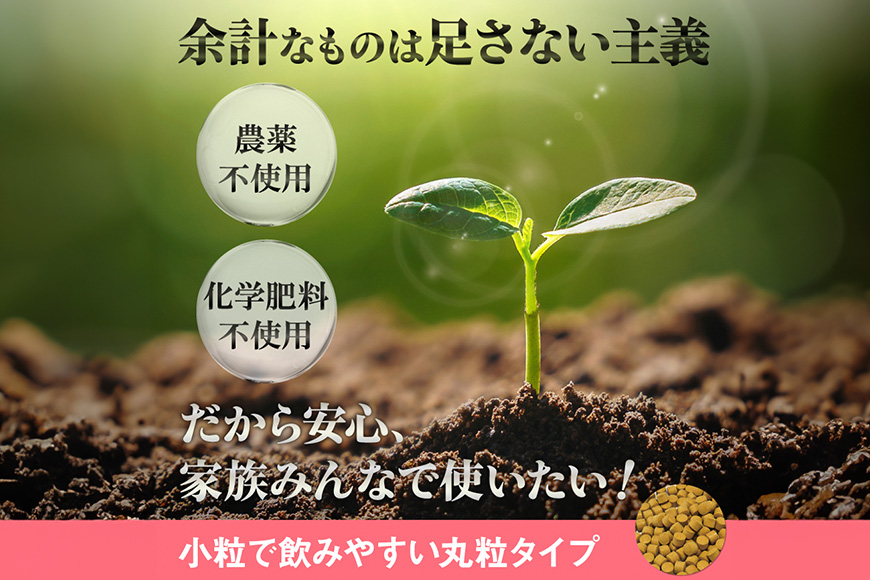 【金秀バイオ】春ウコン粒900粒 　6袋セット　180日分（約6ヶ月分）