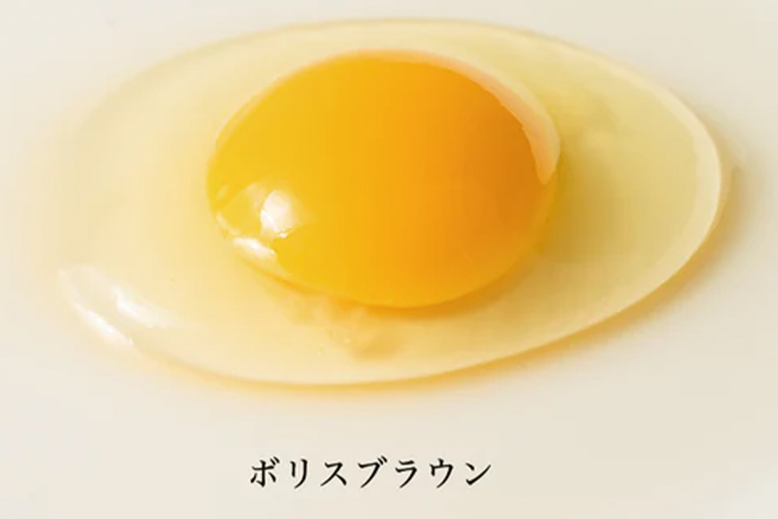 ã¯ã£ããåµ 3çš® é£ã¹æ¯ã¹ MS~L ãµã€ãº 55å +ç Žåµä¿é5å åµ çš®é¡ ãµã€ãº ããŸãã è©°ãåãã çœåµ 30å èµ€åµ 20å éåµ 10å ã¢ããŒã«ã è©°åã ããŸã ã¿ããŽ é£æ¯ã¹ çåµ å³åµ ç
®åµ ç®ççŒã ãã§åµ æ²çž ç£å°çŽé äžåé€é¶å Ž æ²çžç 糞æºåž