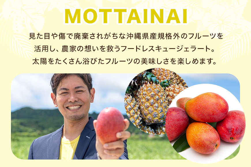 MOTTAINAI ãã€ãããã«ãžã§ã©ãŒãã6åå
¥ã