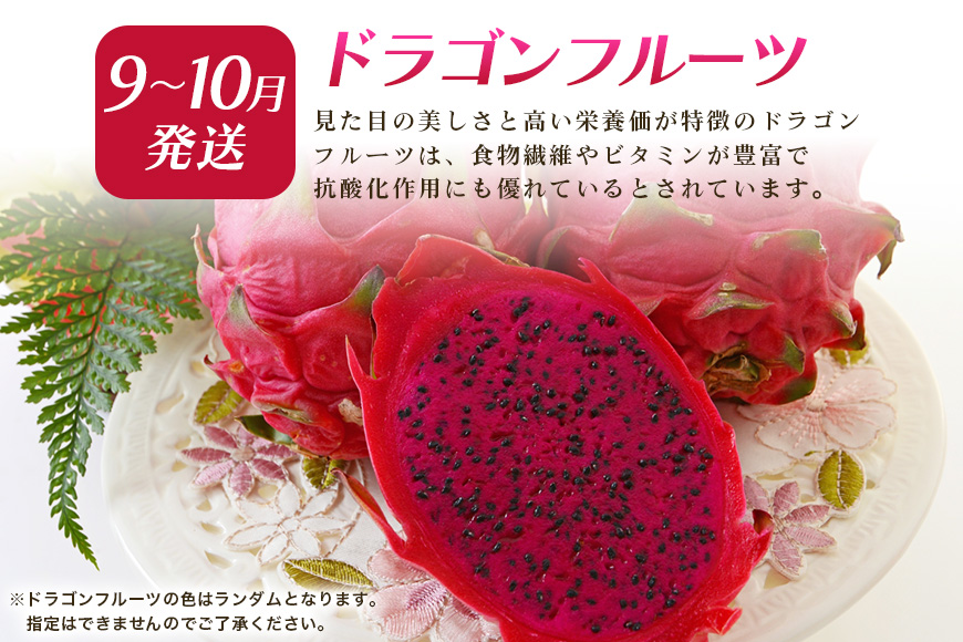 ãå®æäŸ¿å
š6åãæ²çž ãã«ãŒã å®æäŸ¿ 6å ããã·ã§ã³ãã«ãŒã æ²çžç£ãã€ãããã« ãã€ã³ ãã³ãŽãŒ ããŒããã³ãŽãŒ ãã©ãŽã³ãã«ãŒã ããã ãã«ãŒãå®æäŸ¿ æ¬ ãã«ãŒã æç© ãã ãã® æ²çžãã³ãŽãŒ å®æäŸ¿ å£ç¯ã®æç© ç£å°çŽé æ²çžç 糞æºåž