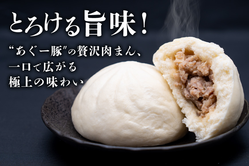 ブランド豚 濃厚な肉汁が溢れる!美ら島あぐー肉まん (120g×3個)×5パック 合計15個