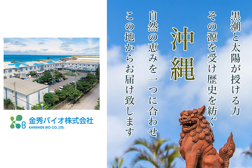 【金秀バイオ】沖縄県産 熱帯 ウコン 90粒 3袋 セット 90日 分 (約 3ヶ月 分) サプリ サプリメント 熱帯ウコン 春ウコン 紫ウコン 栽培期間中農薬・化学肥料不使用 クルクミン ビタミンC ビタミン 国産ウコン 姜黄 キョウオウ 国産 沖縄県 糸満市