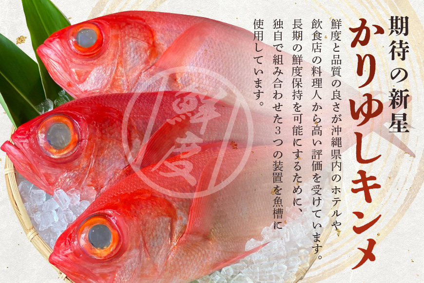 éç®é¯åºæ±è¶ç¢èžã (260gÃ3ããã¯) ãã³ã¡ãã€ é¯ ã¿ã€ ãã å·å åãå¯ã èŽç ã®ãã ç£å°çŽé æµ·ç£ç© å å·¥å æµ·ã®å¹ž é ãã㪠æ²çž ç³žæº éç®é¯ åºæ± ã ã è¶ç¢èžã æµ·é®® æç æ²çžç 糞æºåž