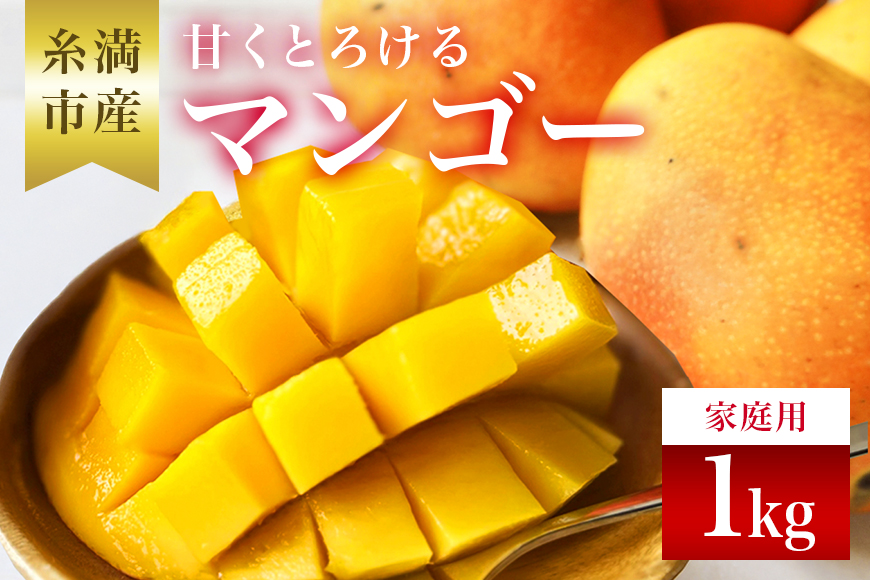 【先行予約 2026年 発送】かねよしマンゴーの甘くとろける マンゴー 1kg 家庭用 沖縄県産 アップルマンゴー アーウィンマンゴー 国産 完熟マンゴー 果物 南国 くだもの フルーツ 完熟 夏 旬 特産品 沖縄 お取り寄せ お土産 甘い 濃厚 糸満市