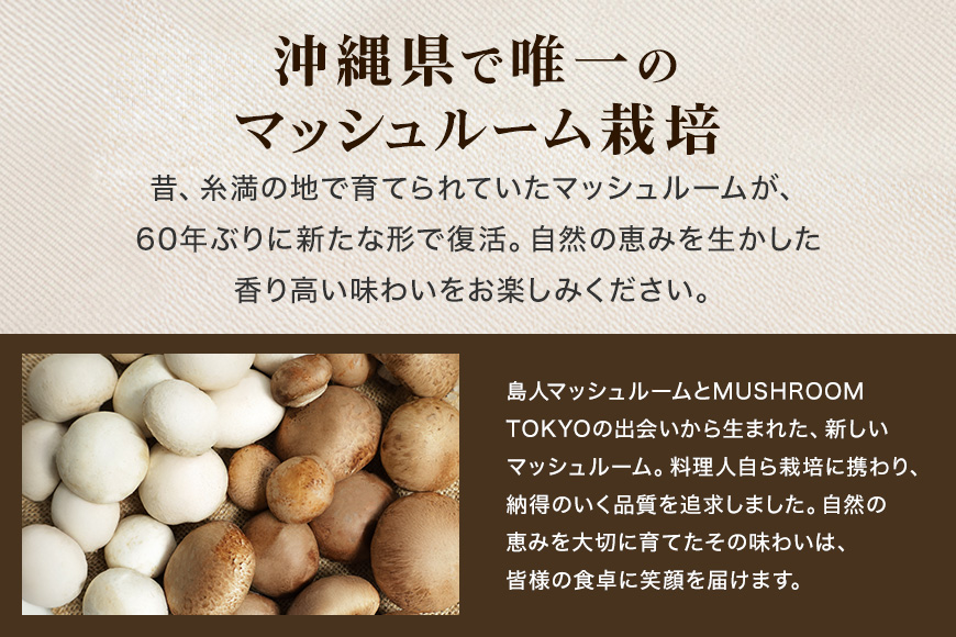 蟲カ莠コ繝槭ャ繧キ繝・繝ォ繝シ繝繧サ繝繝茨シ医帙Ρ繧、繝医サ繝悶Λ繧ヲ繝ウ100gテ暦シ偵そ繝繝茨シ